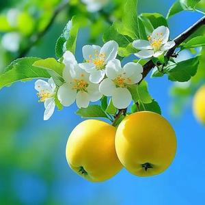 溪边愉悦赏垂柳 头像