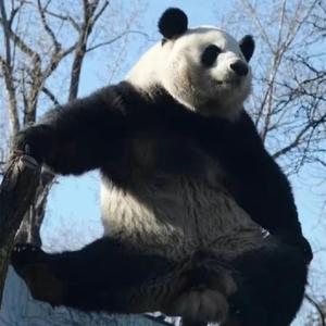 记文化传承 头像