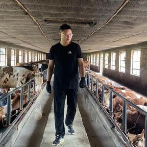 诚锡牧业老明 头像