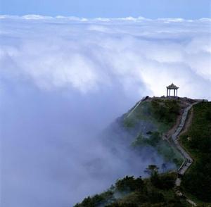 蔡甸大好河山 头像