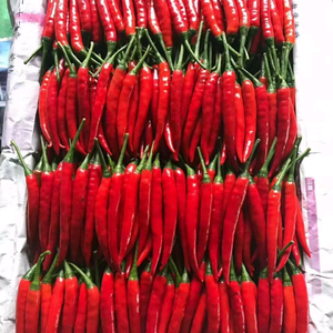 广东穗椒农业中心 头像