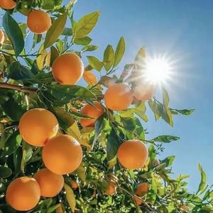 分秒必争熊猫6w 头像