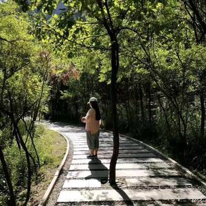 我有一个uniz 头像