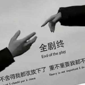 晨晨爱分享 头像