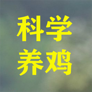 小胡讲养鸡帮助养殖人 头像