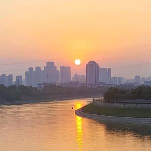 苏梨不是梨 头像