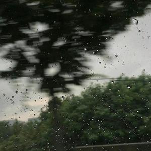 陆江仙 头像
