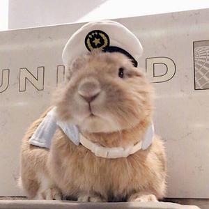 梦想总要有万一实现了 头像