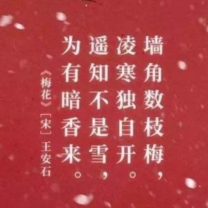 白山黑