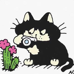 丽子 头像