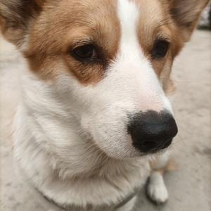 刘豆腐和它的胖舅舅 头像