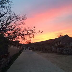 三队长小号 头像