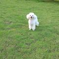 耍耍生活记录 头像