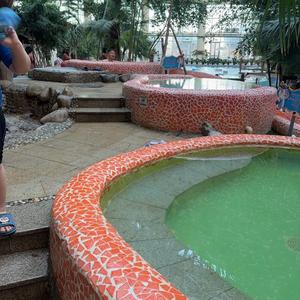 廊下听花语 头像