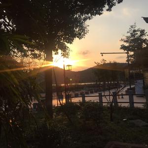 一条小鲤鱼c 头像