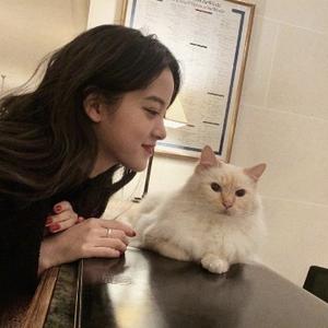 会计知识速递 头像