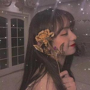 不怎么黏人的小妖精 头像