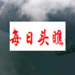 每日头瞧 头像