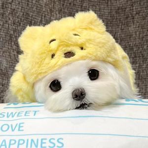 人生海海 头像
