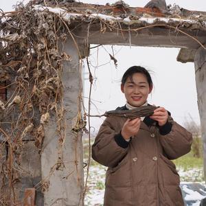 乡村小二妞12月4号赣南脐橙头像