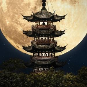 隐匿者的今天 头像