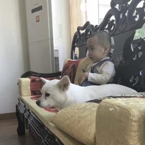 褶皱的理想