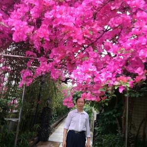 顶级芒果Qz