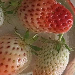 进取书签呐 头像