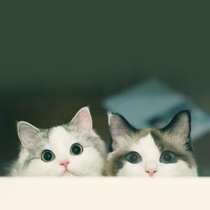 ~馨薇旖旎~ 头像