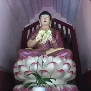 天空的云上 头像