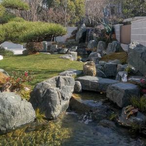 咦哟呵呵嘿 头像