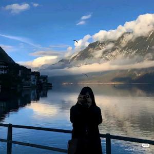 敲算盘的鲸鱼 头像