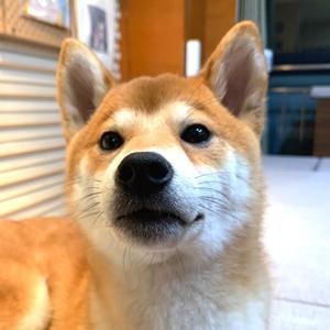 开朗大方吉祥888