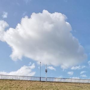 拖拖拉拉的蚂蚁 头像