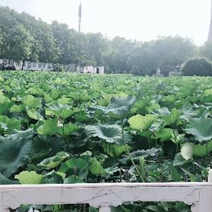 新城电脑中通快递1943 头像