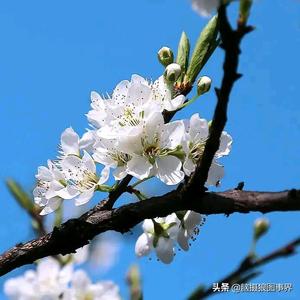 雨后初晴8J7f 头像