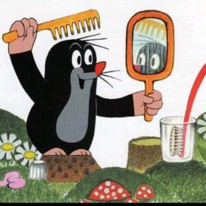 人间世2023 头像