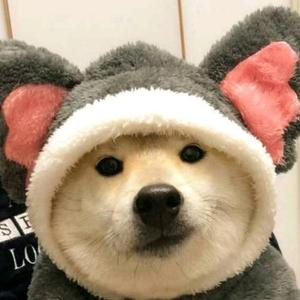 时髦溪流sz 头像