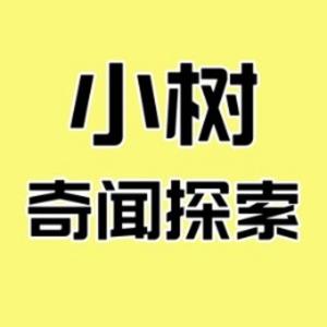 小树奇闻探索号头像