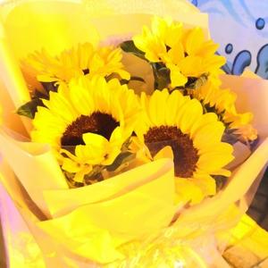 5朵向日葵 头像