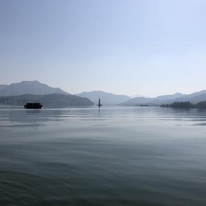 在下King欸 头像