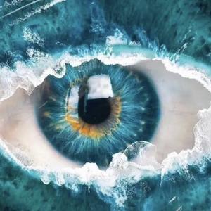 肥肥猫看世界 头像