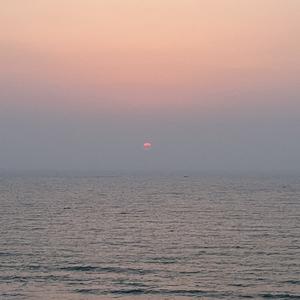 鸡腿堡在南法度过夏日 头像