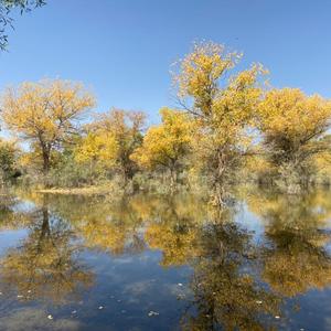 三穆的旅行 头像