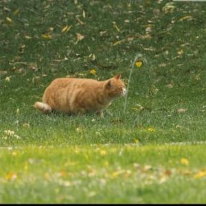 我的编辑生活 头像