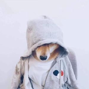 苏晗游戏解说 头像