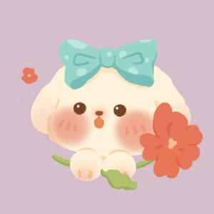 陆文禾成长记 头像