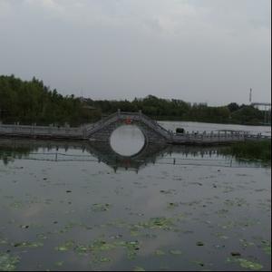 一只孤狼69 头像