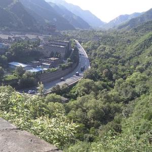 小张说说看 头像