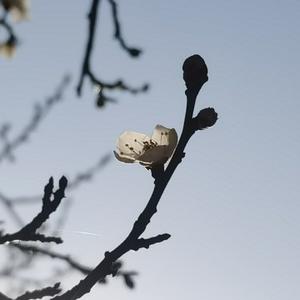 同Zhou共济 头像